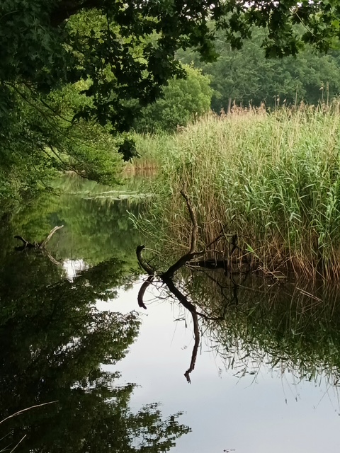 Zen.nl, Zen, meditatie, leren mediteren, foto